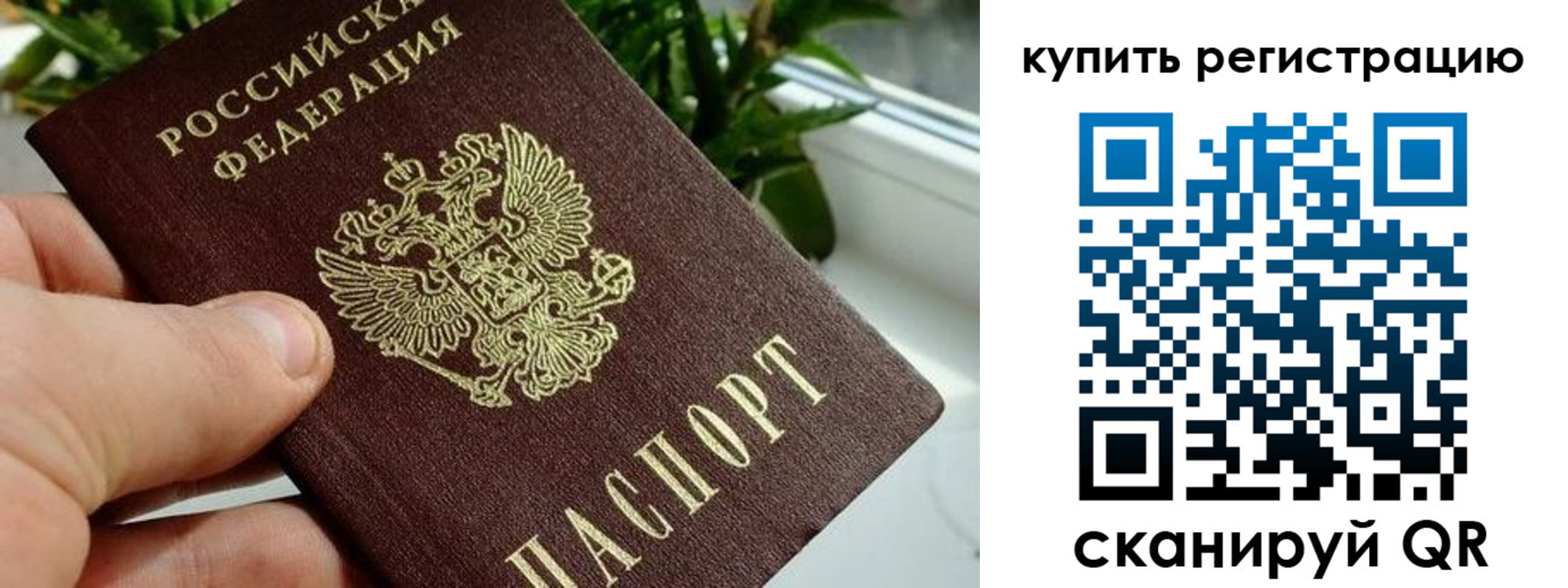 прописка гарантия в Кингисеппе